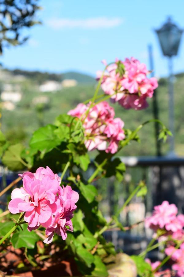 Villa Il Respiro Zoagli Kültér fotó